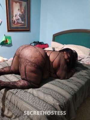MissB 38Yrs Old Escort Tampa FL Image - 7