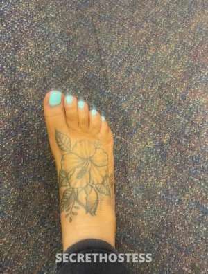 25 year old Escort in Los Angeles CA Sexy and Curvy Cutie Available For Fun and Fetishes - No 