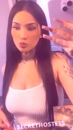 21 year old Escort in Dallas TX Petite Brunette Babe Ready to Rock Your World - In-calls/Out