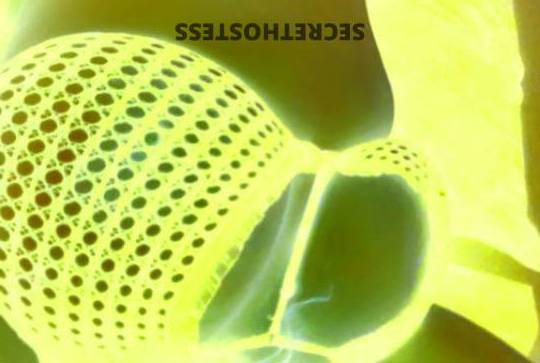 NOMEETS! 29Yrs Old Escort Fort Dodge IA Image - 4