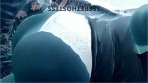 19Yrs Old Escort Youngstown OH Image - 2