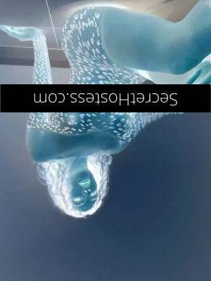 27Yrs Old Escort Brisbane Image - 2