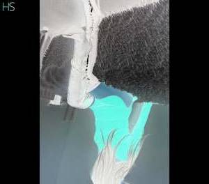 35 year old Escort in Dublin Experience Unforgettable Pleasure with Maria, Your a cutiest