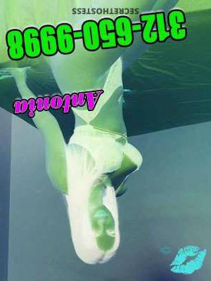 Anne 23Yrs Old Escort 55KG 160CM Tall Chicago IL Image - 4