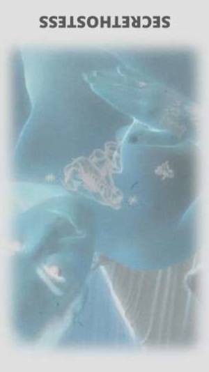 Ashlee 39Yrs Old Escort Houma LA Image - 3