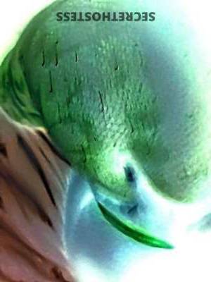 Jolie 39Yrs Old Escort Augusta GA Image - 1