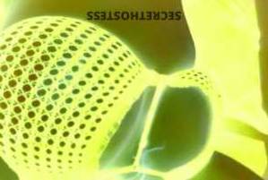 NOMEETS! 29Yrs Old Escort Fort Dodge IA Image - 4