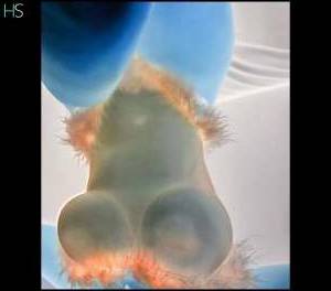 29 year old Latino Escort in Scotland Glasgow Get ready to have the time of your life with Ruby, a hot 29 