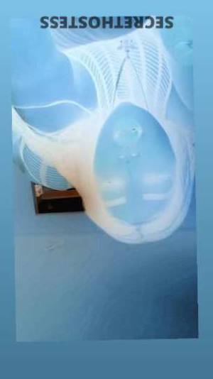 Sky 27Yrs Old Escort Lake Charles LA Image - 1