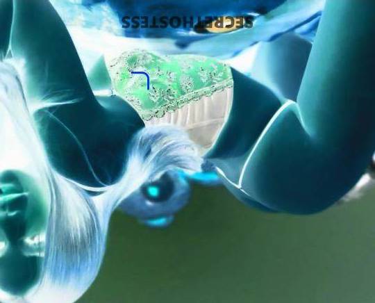 Shortcakes 21Yrs Old Escort Salem OR Image - 1