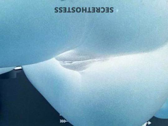 Sweetie 24Yrs Old Escort North Mississippi MS Image - 1