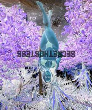 22Yrs Old Escort 65KG Buffalo NY Image - 5