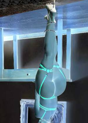 24Yrs Old Escort Houston TX Image - 1