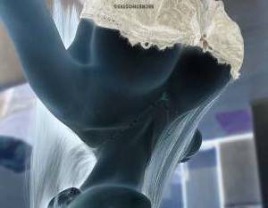 24Yrs Old Escort San Jose CA Image - 2