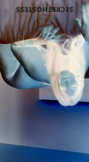 34Yrs Old Escort Tampa FL Image - 1