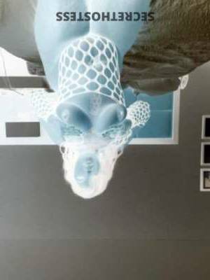 34Yrs Old Escort Tampa FL Image - 3