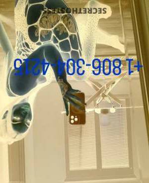 Ang 21Yrs Old Escort Hattiesburg MS Image - 2