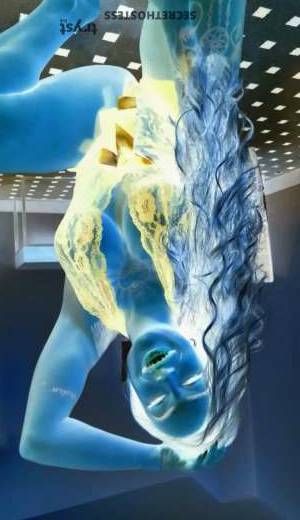 Ashlie Brazil 27Yrs Old Escort Washington DC Image - 7