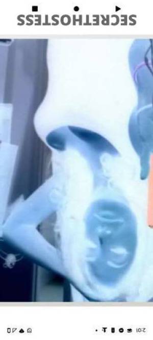 Bambi 42Yrs Old Escort Charleston SC Image - 6