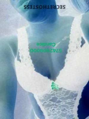 Candice 25Yrs Old Escort Bowling Green KY Image - 1