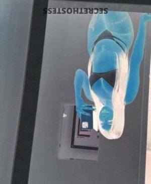 23 year old Caucasian Escort in Chicago IL Diana, Your Beautiful Queen Indulge in a Sensational Time 