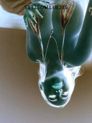 29 year old Latino Escort in Miami FL Experience Mindblowing Pleasure with a Latina Goddess Incall