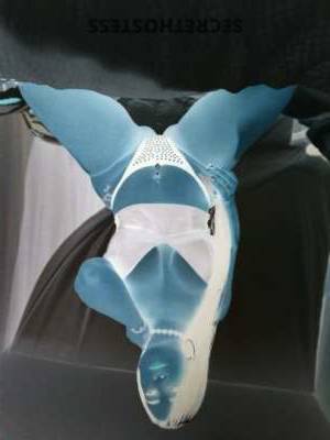 27 year old Latino Escort in Dallas TX Hot Latina in town for a limited time only