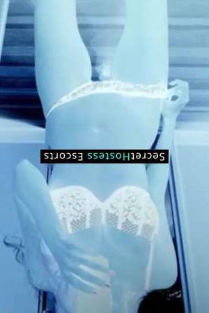 28 year old Russian Escort in Chicago IL European Beauty Lisa Naughty Fun & Fantasy Fulfillment