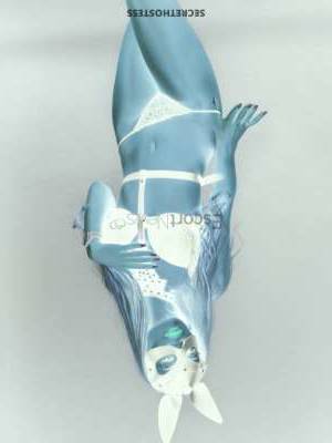 Monica 23Yrs Old Escort 47KG 169CM Tall Novi Sad Image - 1