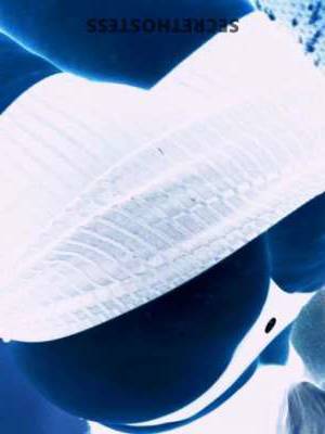 NOMEETS! 29Yrs Old Escort Morgantown WV Image - 6