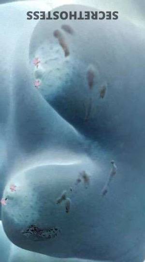 Sammy 20Yrs Old Escort Size 18 San Antonio TX Image - 6