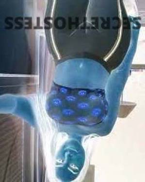 Sasha 24Yrs Old Escort Staten Island NY Image - 9
