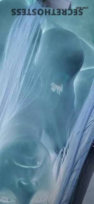 Whitney 32Yrs Old Escort 149CM Tall Indianapolis IN Image - 2