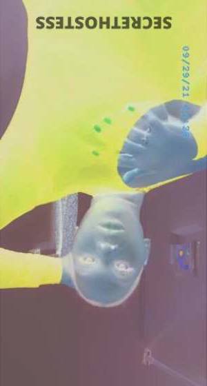Yani 26Yrs Old Escort Saint Louis MO Image - 2