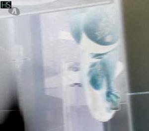 20 year old Portuguese Escort in Gravata Pernambuco Horny Bruninha's Juicy Blowjob and Tight Little Butt 