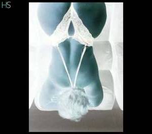 58Yrs Old Escort Mato Grosso Image - 1