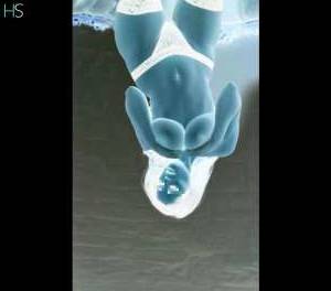 27 year old Latino Escort in Dublin Explicit Warning Anna, Hot Colombian new to Town, Ready for 