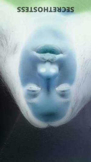 33 year old American Escort in Richmond VA The Ultimate Playmate for Gentlemen SeekingUnforgettable 