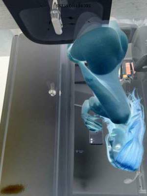 Azonia Fumi 25Yrs Old Escort Grand Island NE Image - 4