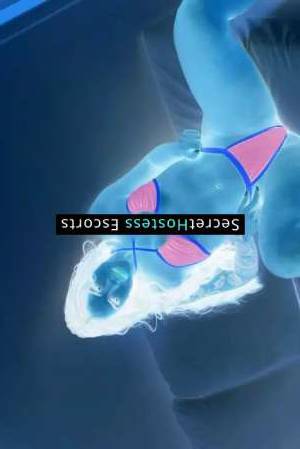 Camila 25Yrs Old Escort 53KG 160CM Tall Porto Image - 6