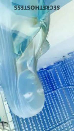 Chloe 22Yrs Old Escort San Fernando Valley CA Image - 3