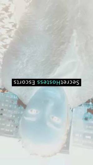 Diana 19Yrs Old Escort 61KG 172CM Tall Frankfurt am Main Image - 3