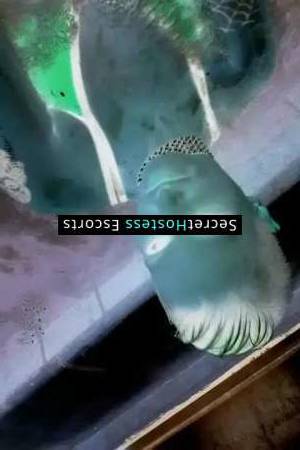 Eva872526 37Yrs Old Escort 65KG Hot Springs AR Image - 9