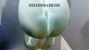 Jasmine 22Yrs Old Escort 142CM Tall Ft Wayne IN Image - 2