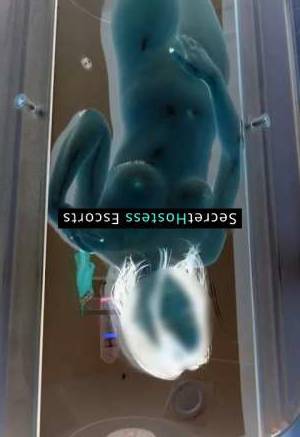 Sophia 24Yrs Old Escort 49KG 155CM Tall Munich Image - 1