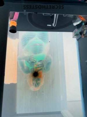 Tierra 34Yrs Old Escort Springfield MO Image - 9