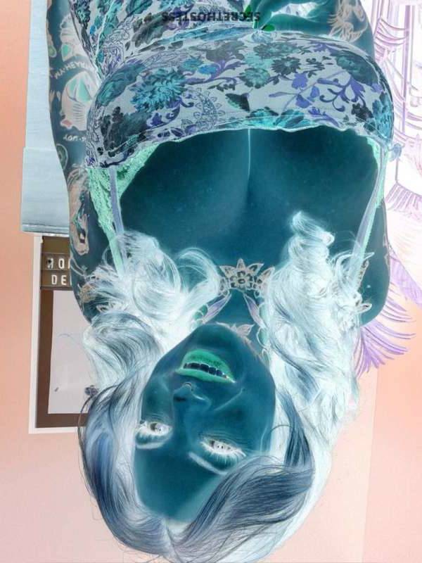 Angel Winter 27Yrs Old Escort Size 10 162CM Tall St. Louis MO Image - 4