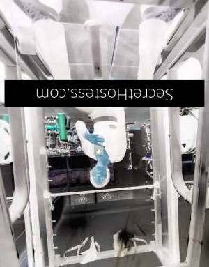 25Yrs Old Escort Perth Image - 2