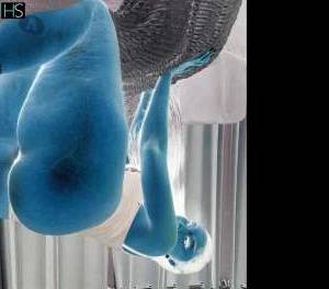 26 year old African Escort in Manchester Greetings! I'm Sofi, the Queen of OWO Kisses and 