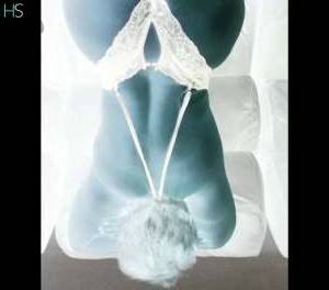 58Yrs Old Escort Mato Grosso Image - 1